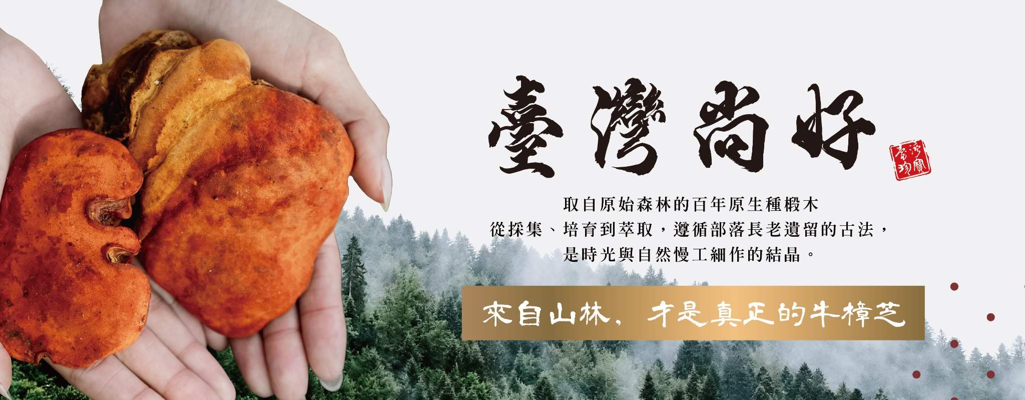Banner01_臺灣尚好 網頁版